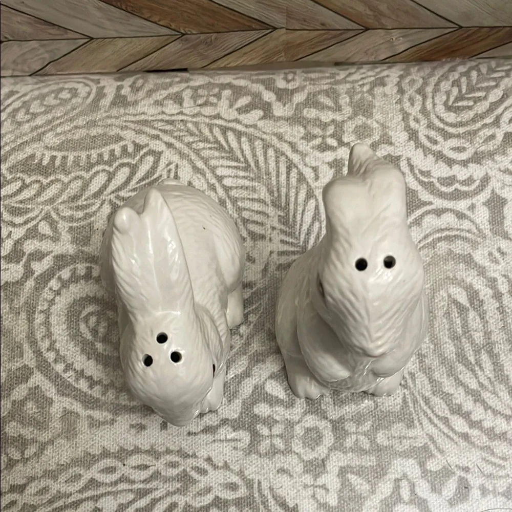 Pier 1 Imports Bunny‎ Rabbit Salt and Pepper Shakers